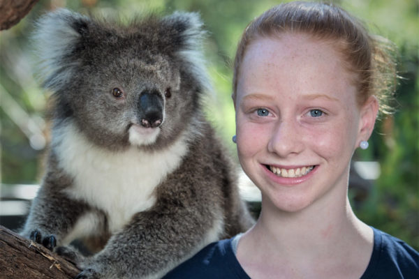 Libby’s Koala and Wildlife Crusade