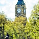 Leadership Opportunity on the World Stage