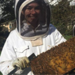 Beehive Initiative at Nelson College