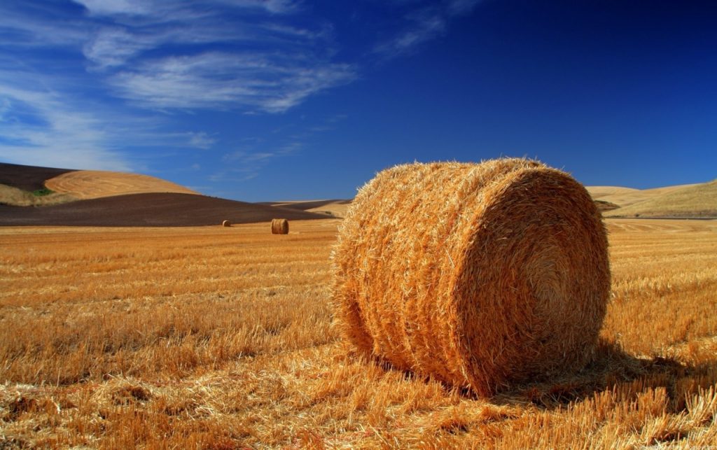 Get Involved: Hay and Hampers for Hope