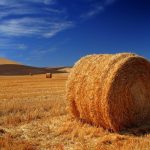 Get Involved: Hay and Hampers for Hope