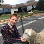Peninsula Grammar Invites Melbourne Mobile Farm to Help With Exams