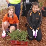 Cooinda Primary School Students Plant 1000 Trees