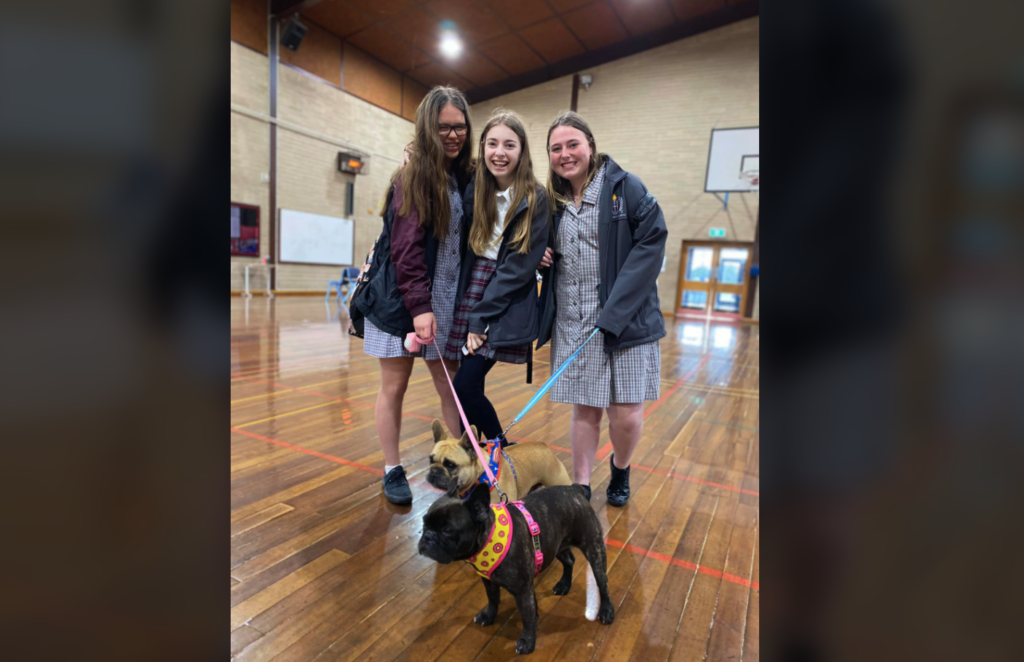 Findon High School Students Let the Dogs Out