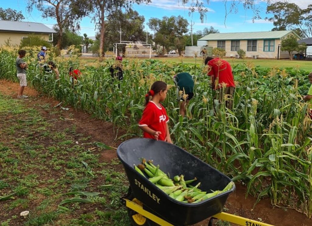 Ivanhoe: The Little School with the Big Garden