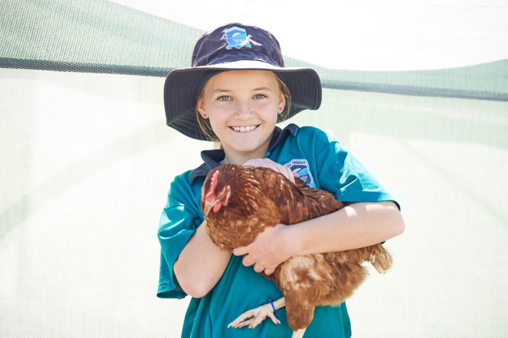 Chickens Join the Environment Team at Beeliar