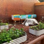West Greenwood Transforms Fridges into Worm Farms