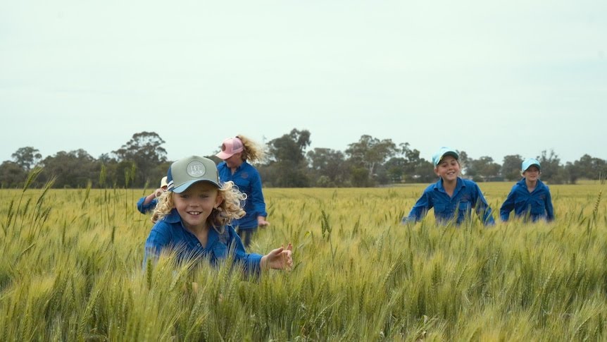 Hermidale Public School Harvests a Wheat Crop