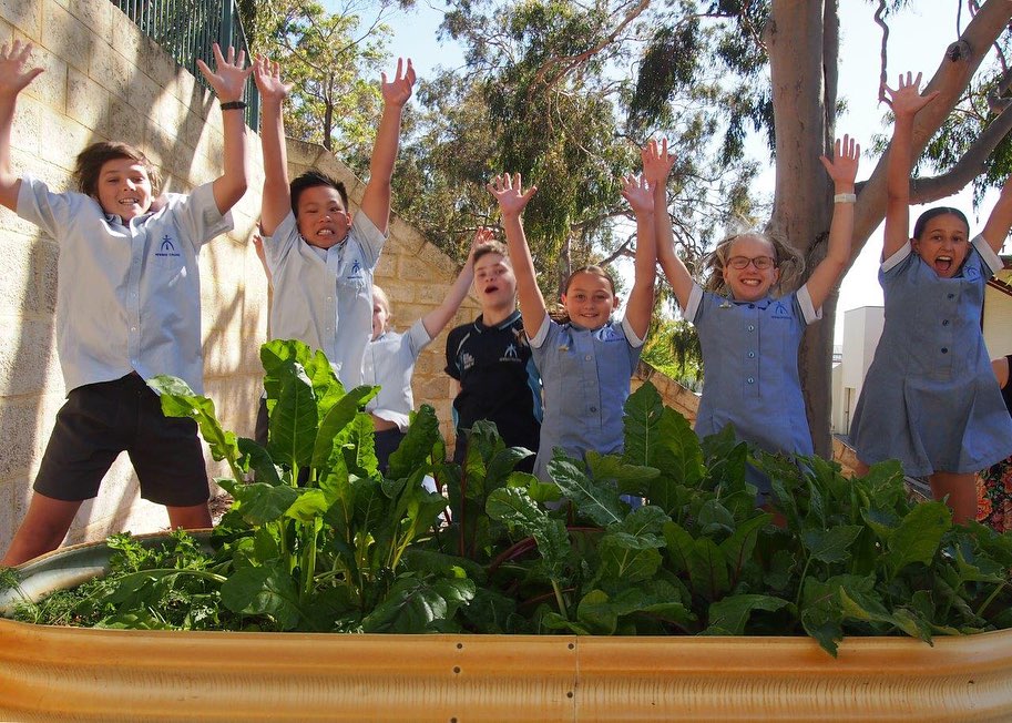 Newman Students Get Planting